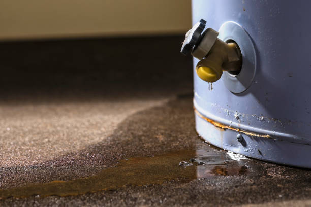 Best Water damage contractors near me  in Cumming, GA