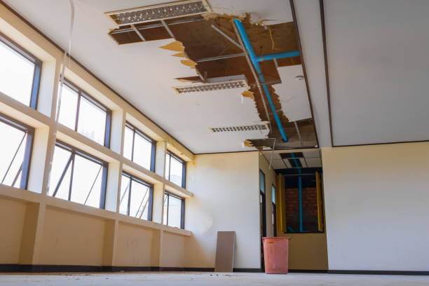 Best Flooded house restoration  in Cumming, GA