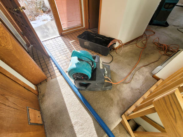 Best Sewage cleanup and water damage restoration  in Cumming, GA