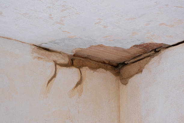 Best Commercial water damage restoration  in Cumming, GA