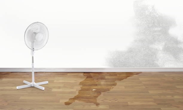 Best Professional water damage repair  in Cumming, GA