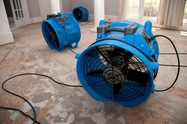 Best Mold removal after water damage  in Cumming, GA